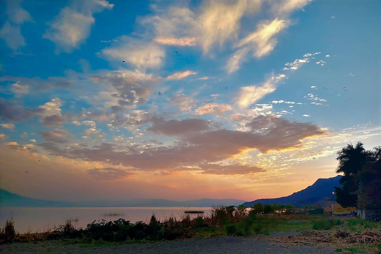 You are currently viewing Nature in the Lakeside