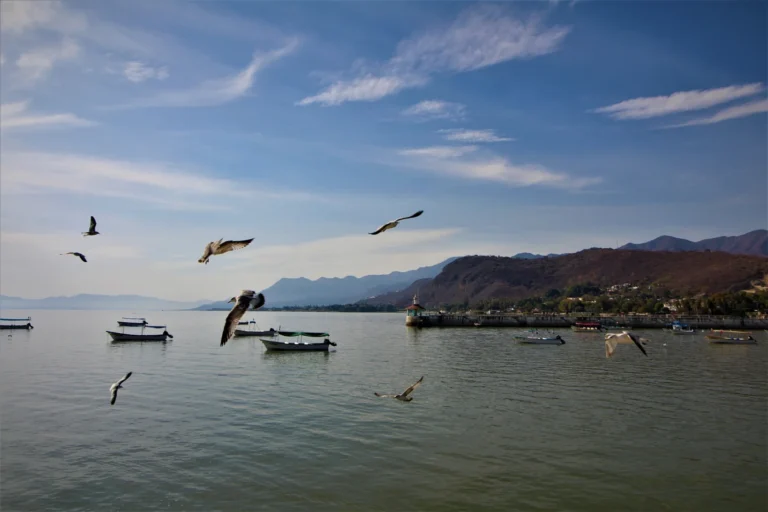 Read more about the article Incredible climate and natural beauty